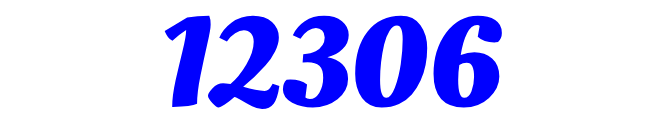 12306